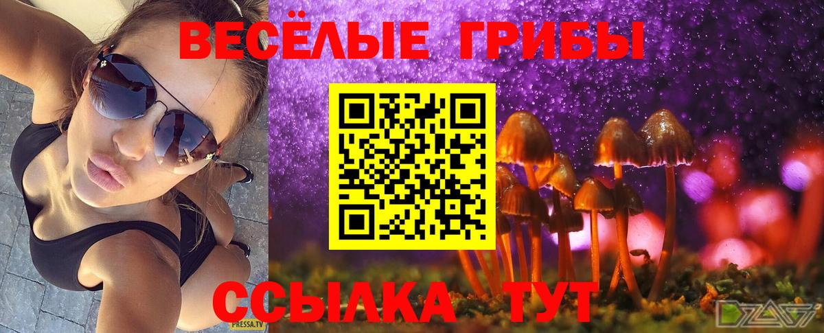 Псилоцибиновые грибы прущие грибы Смоленск
